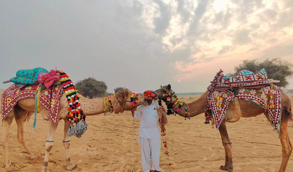 Trusted Taxi Service in Udaipur