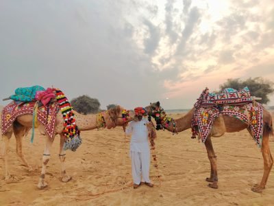 Trusted Taxi Service in Udaipur